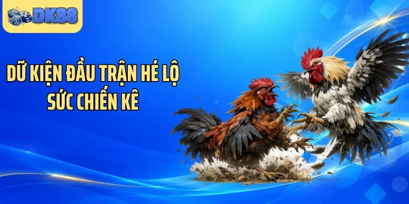 Dữ kiện đầu trận hé lộ sức chiến kê