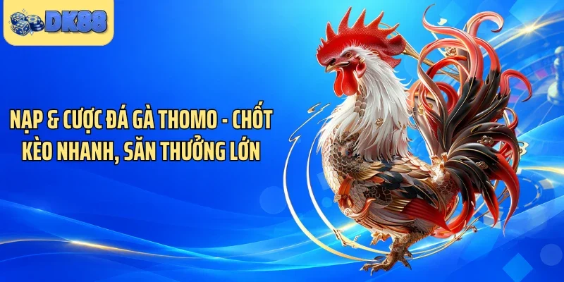 Nạp & Cược Đá Gà Thomo - Chốt Kèo Nhanh, Săn Thưởng Lớn